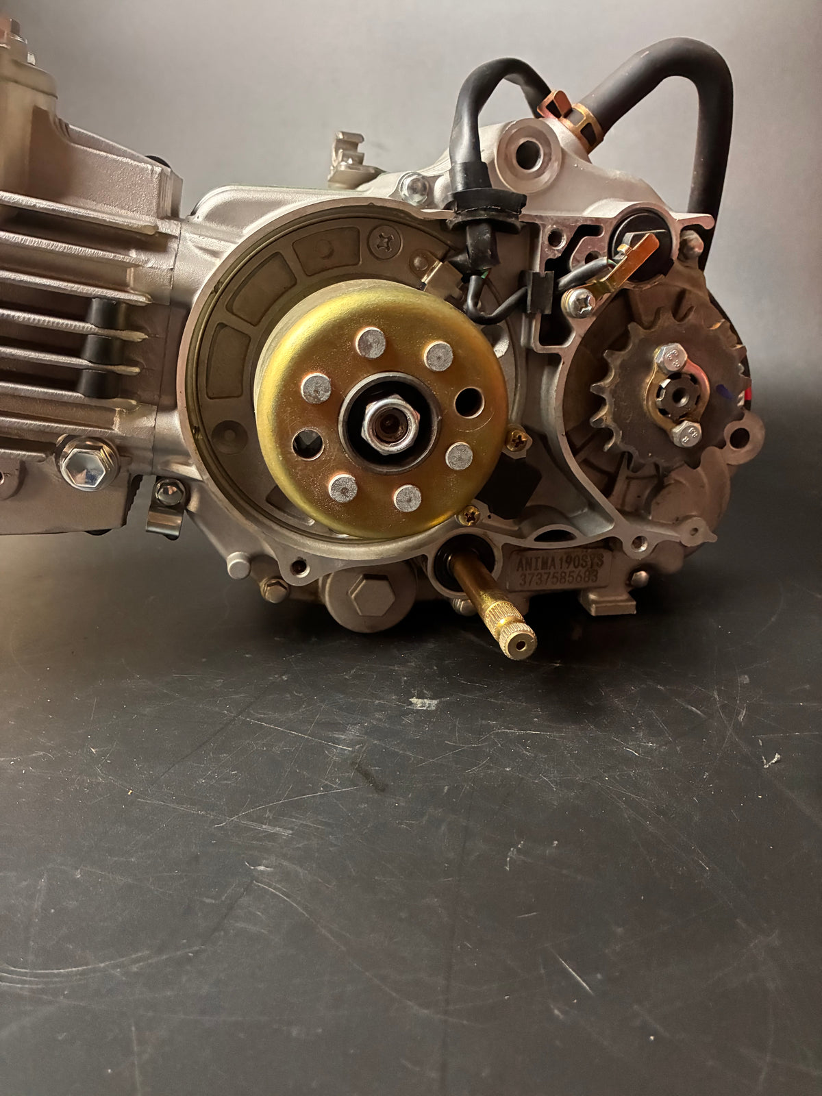 Moteur 190 daytona SYS