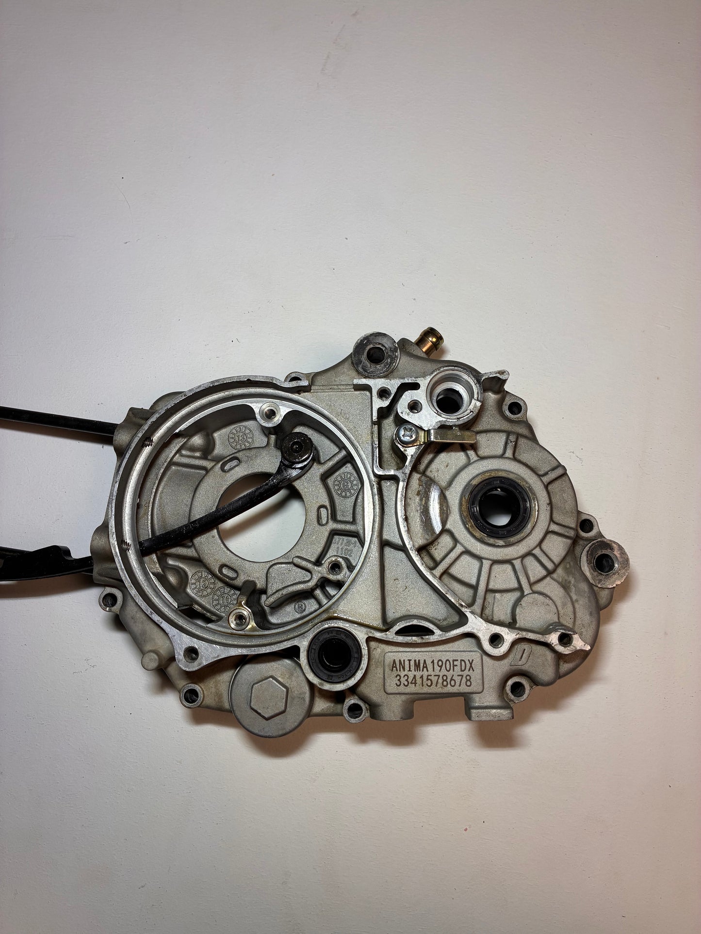 Carter gauche daytona