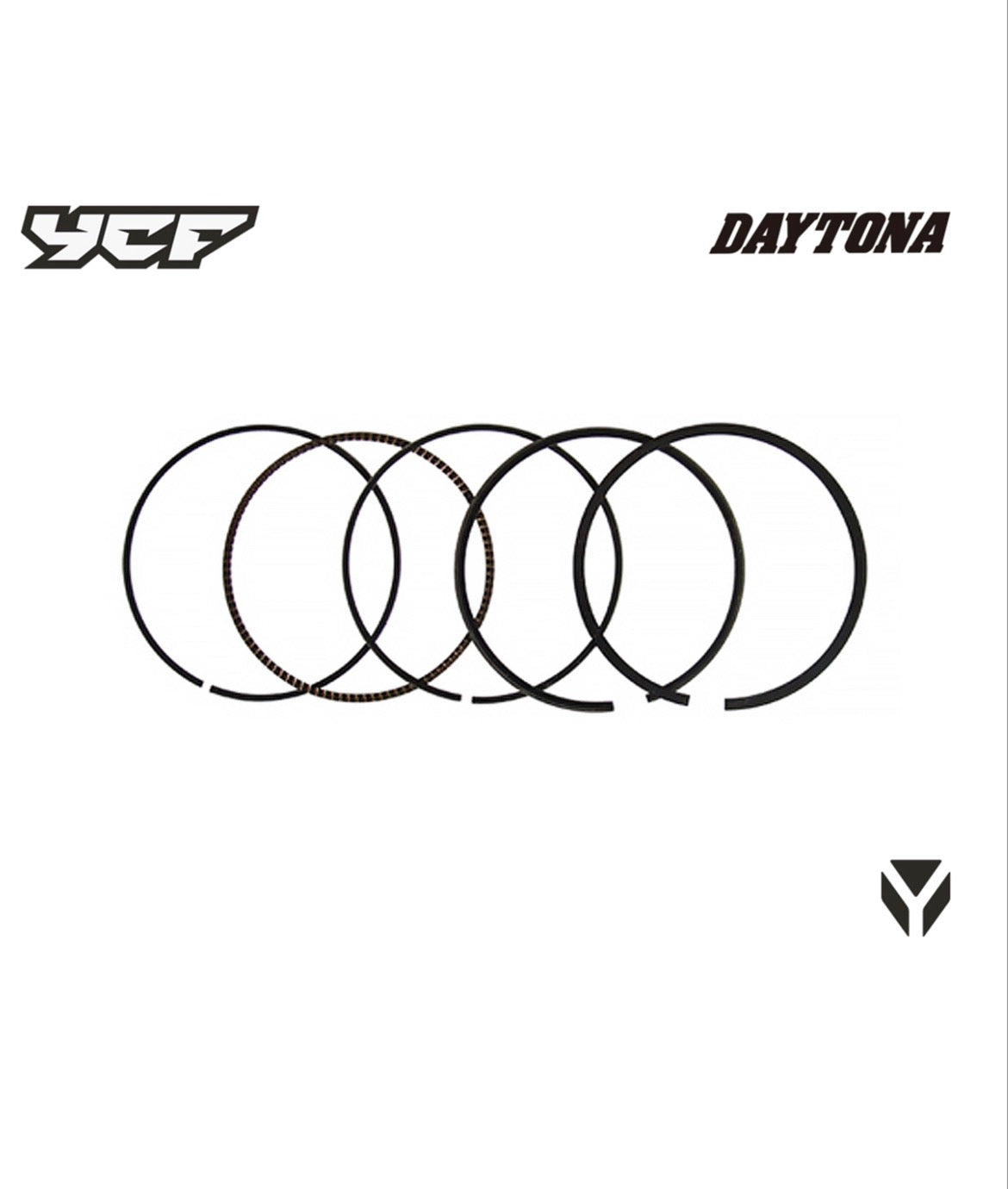 Segment daytona anima 62mm